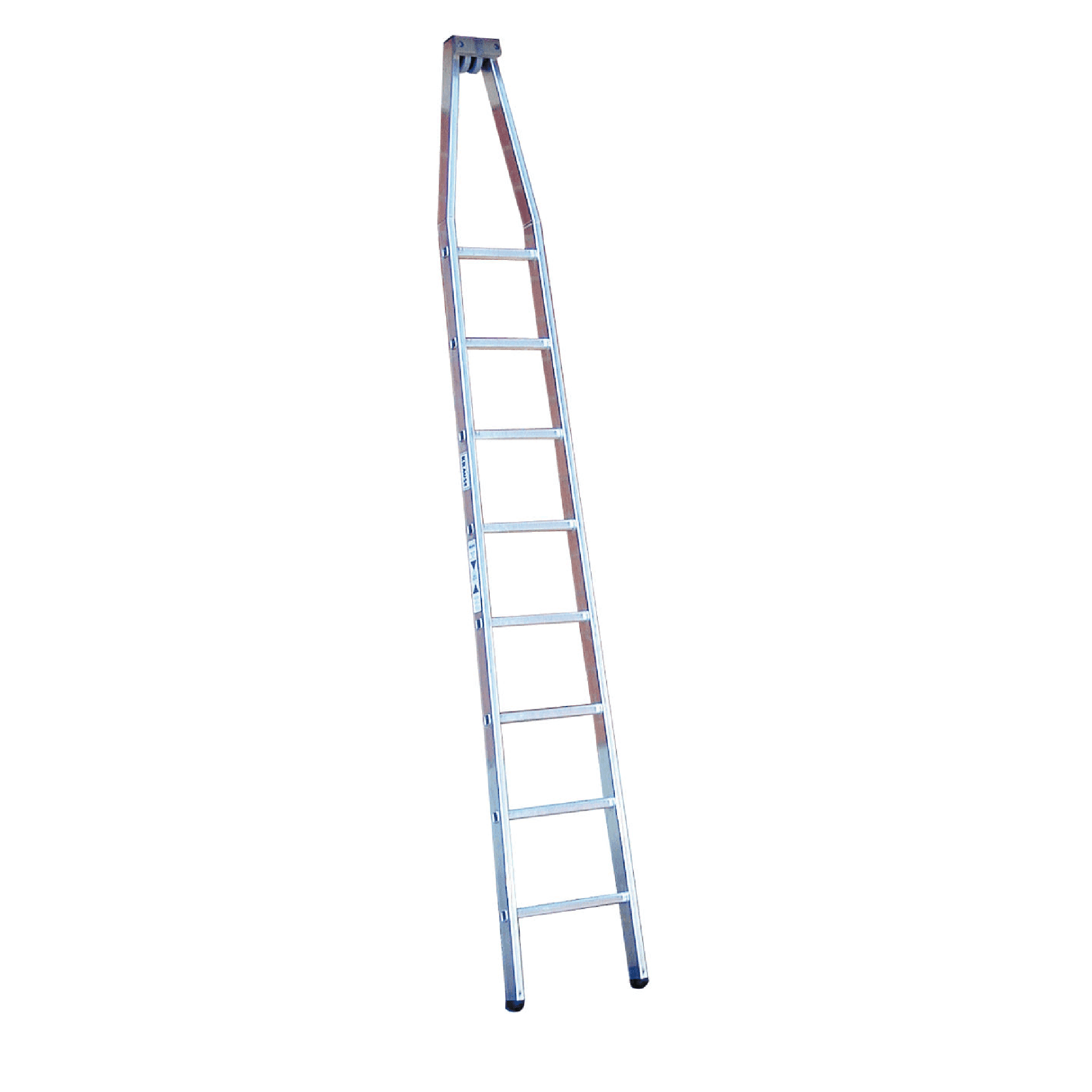 Krause Anlegeleiter aus Aluminium Krause-Aluminium-Anlegeleiter mit konischem Oberteil und stabilen Sprossen für professionelle Gebäudeinstandhaltungsarbeiten