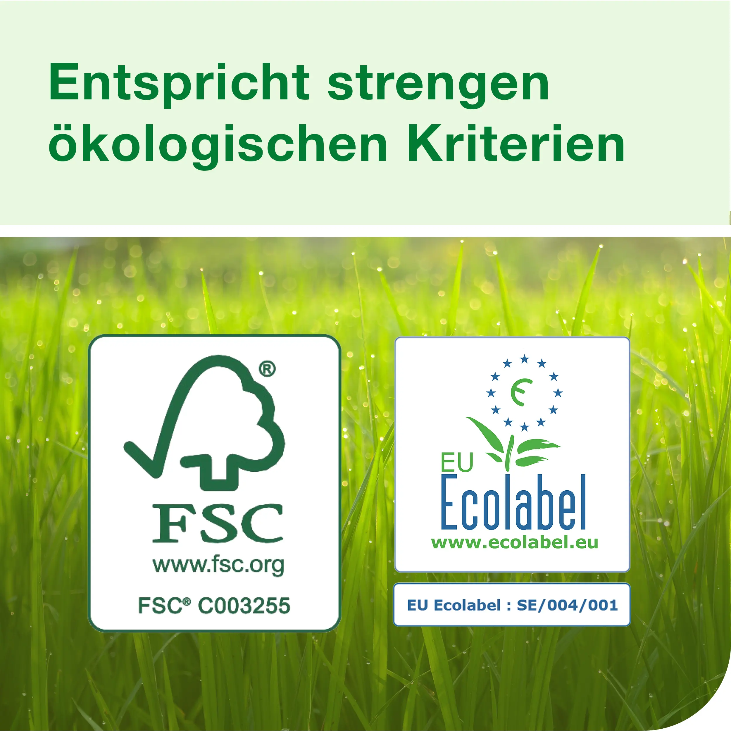 FSC- und EU Ecolabel-Zertifizierungen auf grünem Hintergrund, symbolisierend starke ökologische Kriterien und 100 % recycelte Fasern