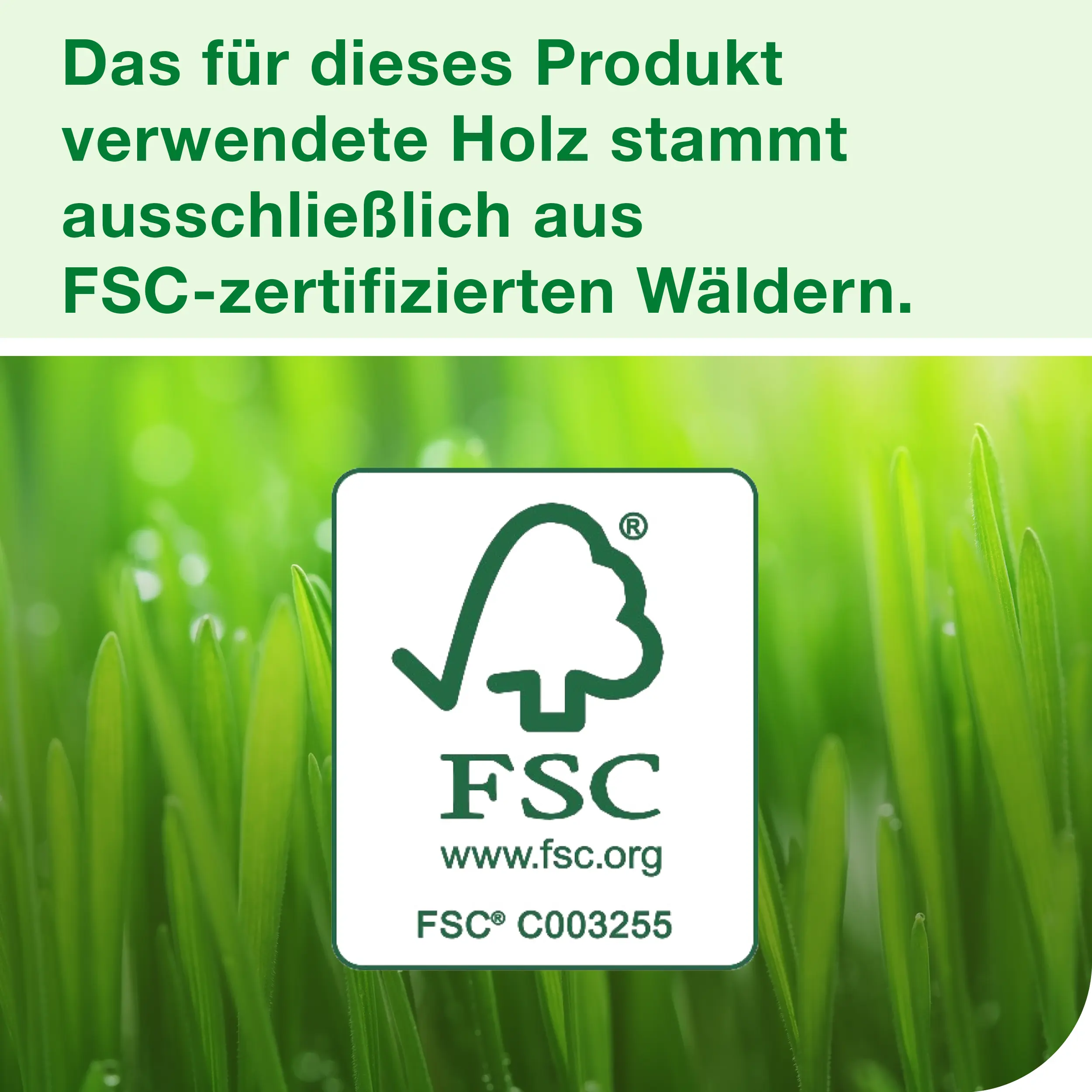 Tork Xpressnap® Tischspender