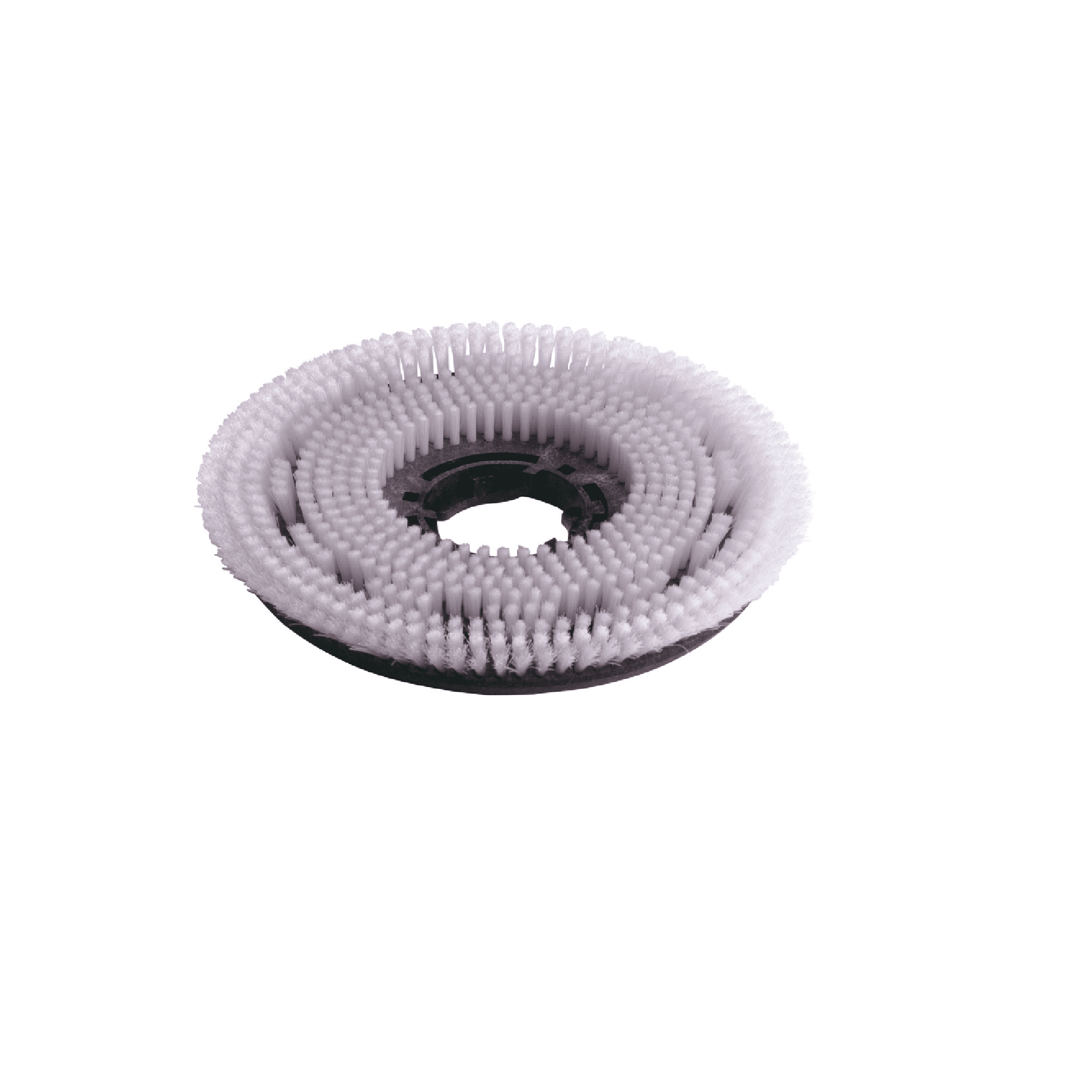 Numatic Nylon-Scheuerbürste Numatic Nylon-Schrubbbürste mit dichten Borsten für eine effektive Reinigung.